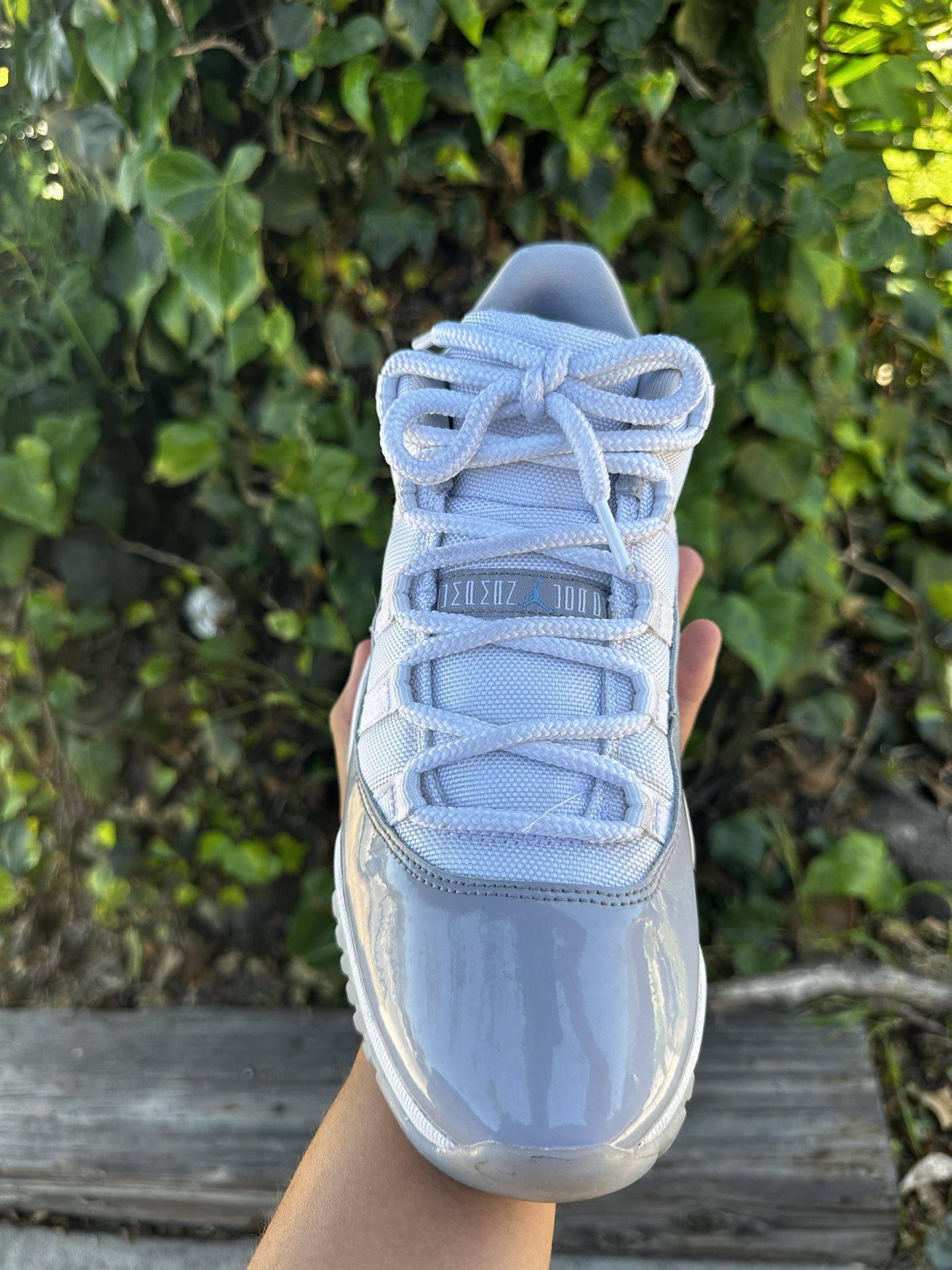 Jordan 11 Low