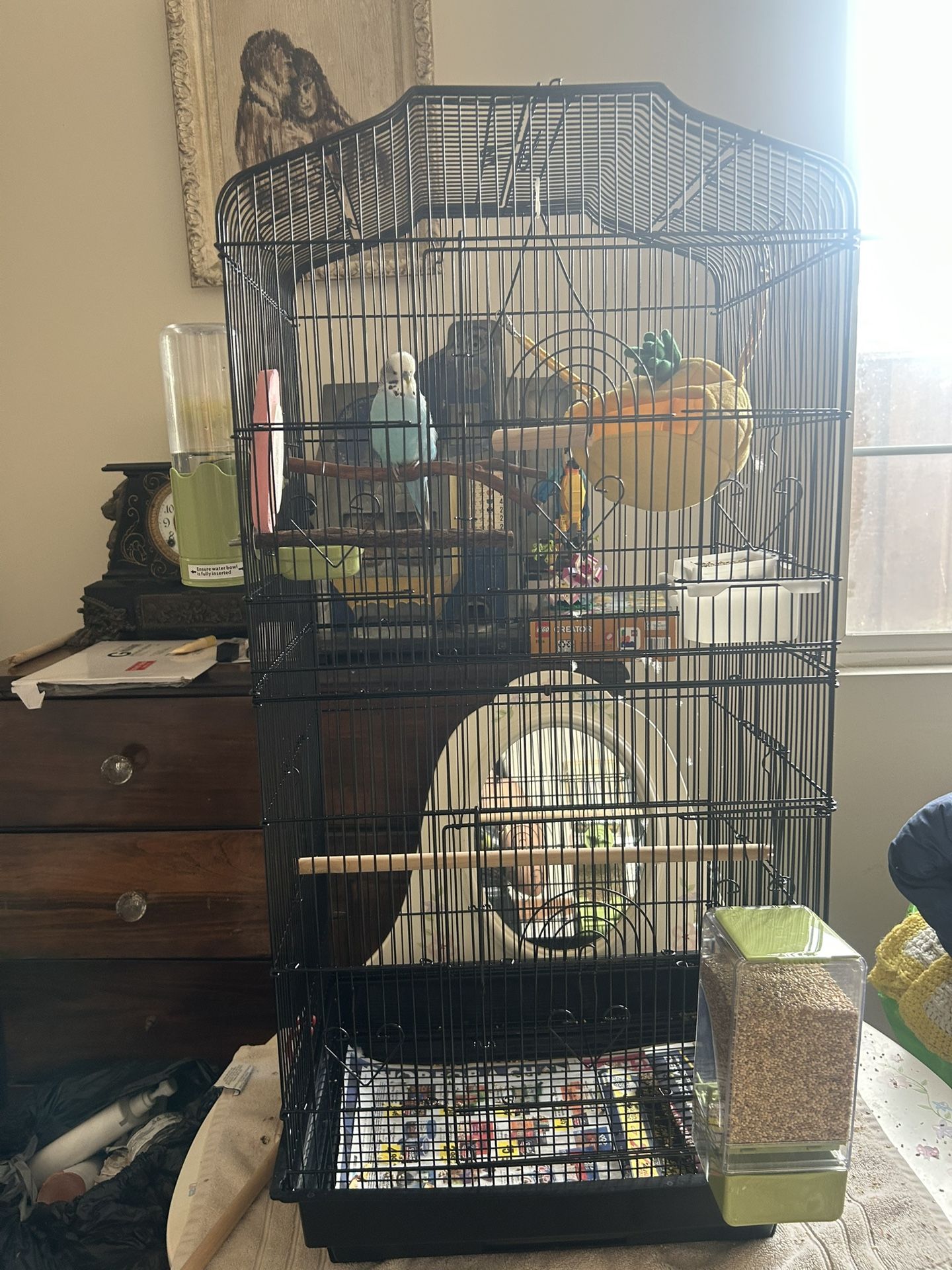 English Budgie Cage