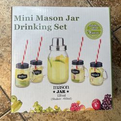 Mini Mason Jar Drinking Set