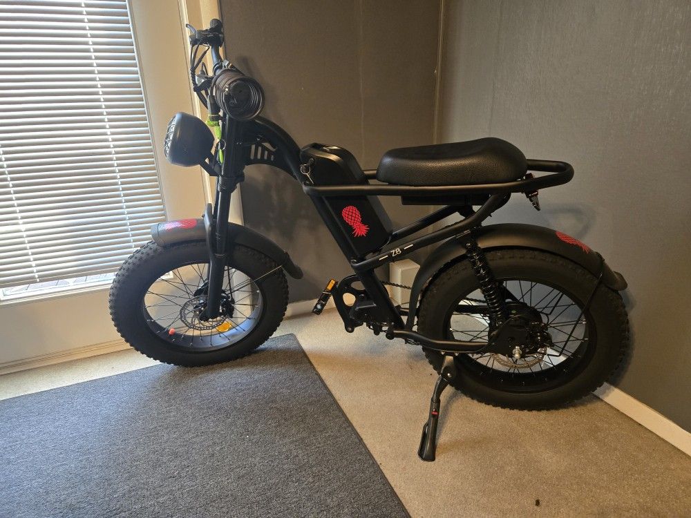 Electric Bike