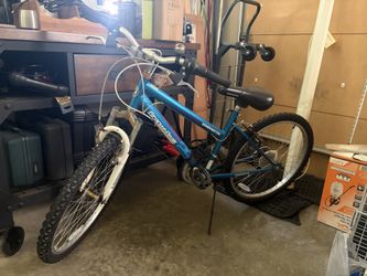 20” Bicycle