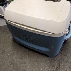 Cooler 