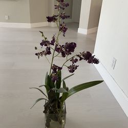 Z Gallery Flowers 