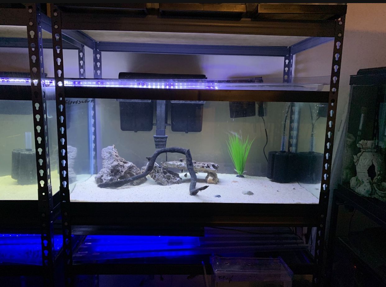 40 gallons Breeder Fish Tank Aquarium