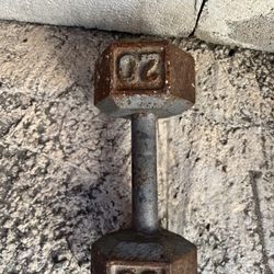 20 pound dumbbell