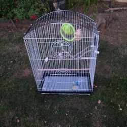 Medium Bird Cage