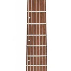 ISO Trade For  Ibanez Neck