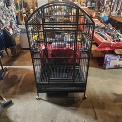 Big birdcage