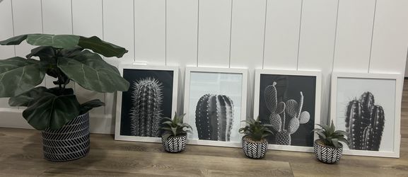 Black and White Room Decor