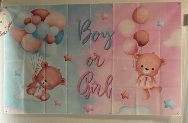 Gender reveal backdrop