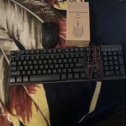 Keyboard and mouse