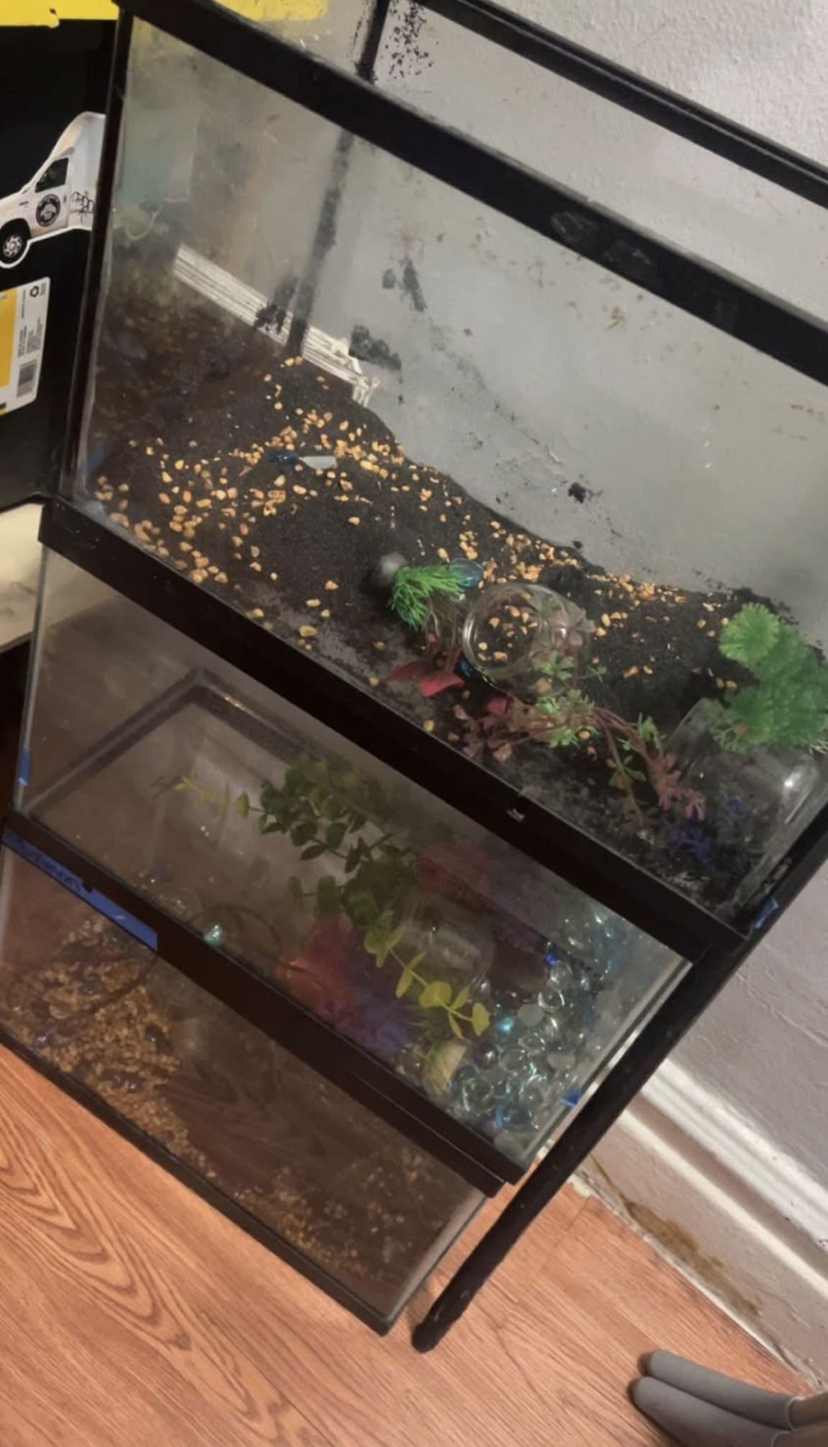 Three 5 Gallon Fish Tanks