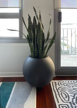 Set of 2 Small Planters from Crate & Barrel
