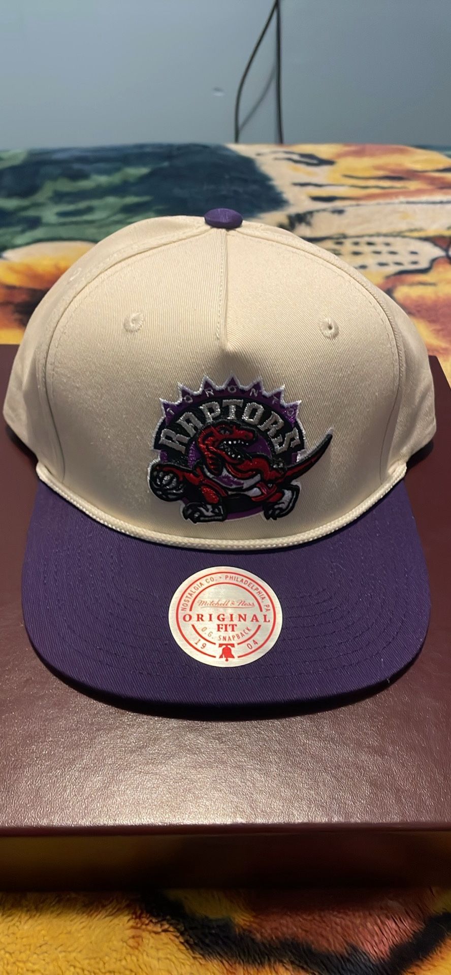 Toronto Raptors Hat