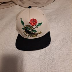 Brand New Cap 