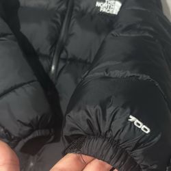 North face 700 Puffer