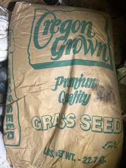 Seed Kentucky Blue Grass 50 Lbs
