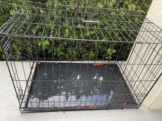 dog cage