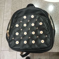 Small leatherbackpack