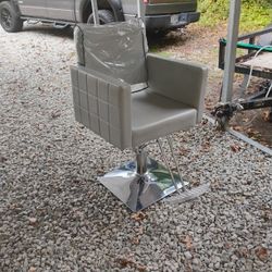 Salon Chair