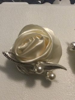 Brooch and/or Pin