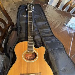 Tagima Guitar 