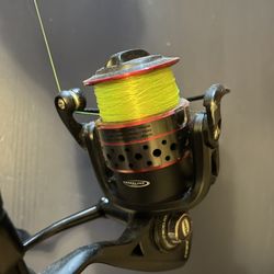 PENN FIERCE II Graphite 