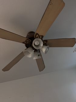 48 Inch 5 Blade Ceiling Fan