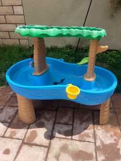 Step 2 water table