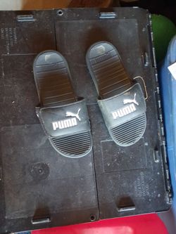 Slides