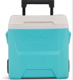 Igloo  cooler