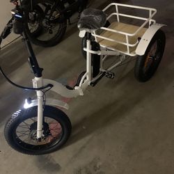 Electric Trike