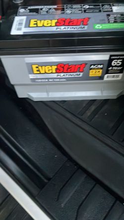 EverStart Platinum AGM Battery
