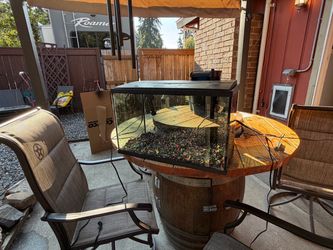 10 gallon Fish Tank aquarium