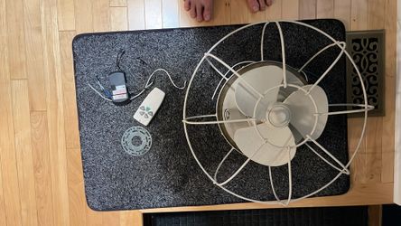 Ceiling Fan with Light
