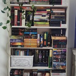 White Solid Wood Bookcase