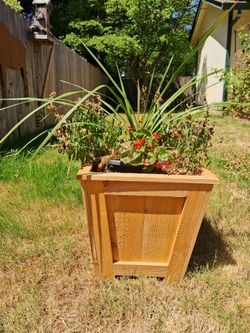 Cedar Planter Boxes