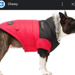 Frisco Dog Parka Size 16 :) (North Pole Parka)