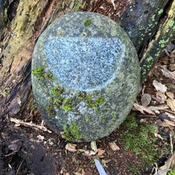 Custom Hand Carved Toenail/Thumbnail Carved Rock