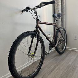 Mountain Bike Trek