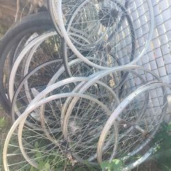 bicycle Rims Whole lot for $50