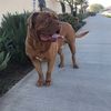 Edgar