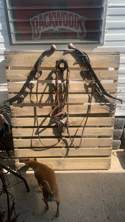 Horse Bridal With Bit Chin Strap And Reins 