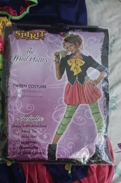 The Mad Hatter Costume