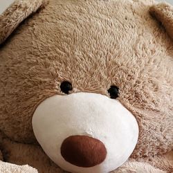 Big Costco Bear