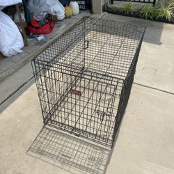 Kong Dog Crate 