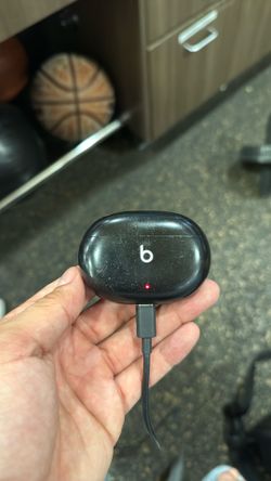 Beats Airbuds with Charging case