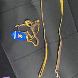 Dog Harness And Leash - Top Paw