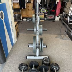 Weight Plates/Rack, Curling Bar, Barbell, Dumbells