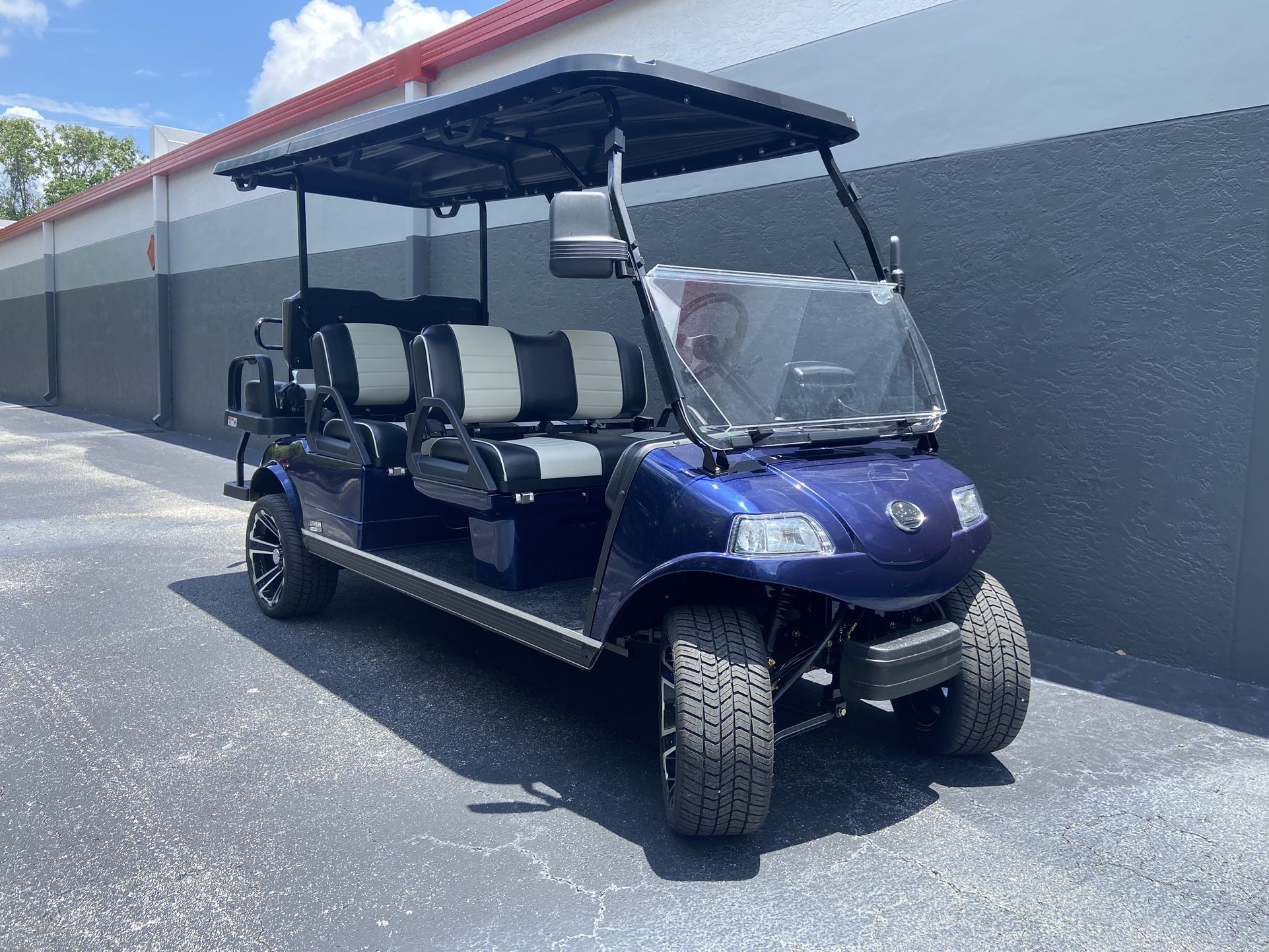 Seat Lithium Battery Powered Electric Golf Cart OPTION LOADED
